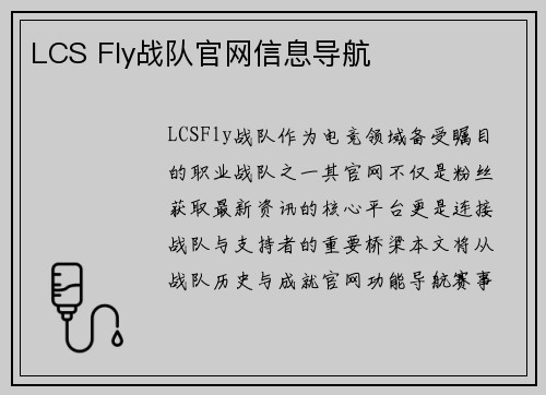 LCS Fly战队官网信息导航