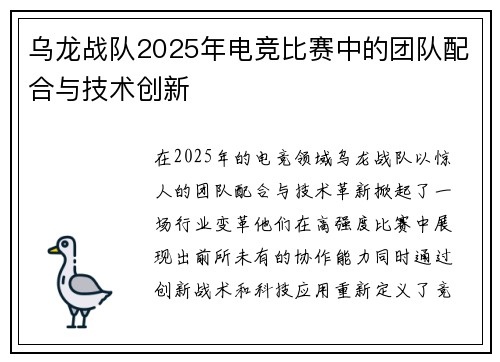 乌龙战队2025年电竞比赛中的团队配合与技术创新