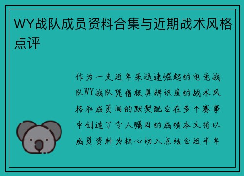 WY战队成员资料合集与近期战术风格点评