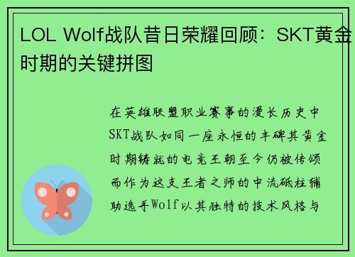 LOL Wolf战队昔日荣耀回顾：SKT黄金时期的关键拼图